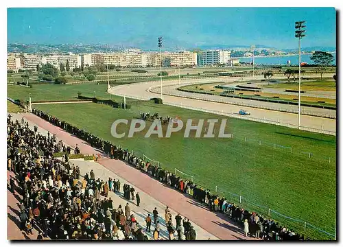 Cartes postales moderne Cagnes sur mer Cote d'Azur French Riviera Hippodrome de la cote d'Azur Hippisme Chevaux
