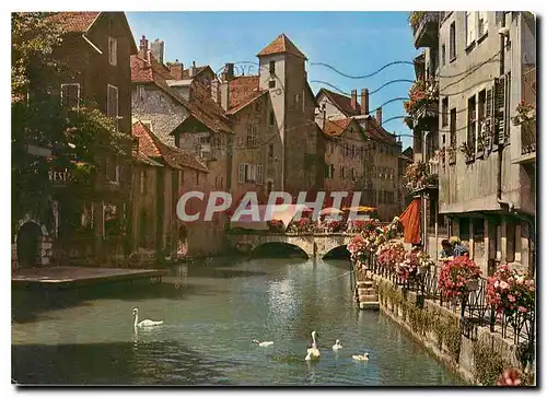 Cartes postales moderne Annecy Canal du Thiau Vieux Fleuris et Pont Morens