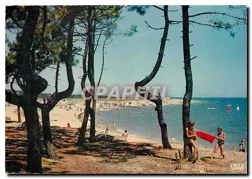 Cartes postales moderne Ile d'Oleron La Plage de Boyardville