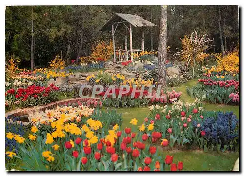 Cartes postales moderne La Tranche sur Mer (Vendee) Cote de Lumiere Les Floralies