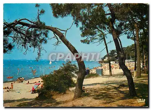 Cartes postales moderne Cote de Beaute Ronce les Bains (Charente Maritime) La plage de la Cepe