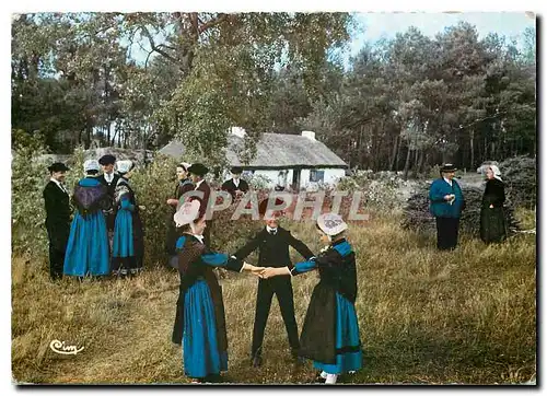 Cartes postales moderne Folklore Vendeen le Bouquet d'Ajoncs Bois de Cene (Vendee) Enfants