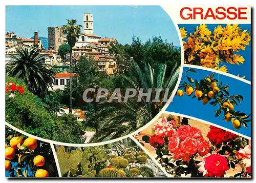 Cartes postales moderne Cote d'Azur Frenchriviera Grasse (Alpes Maritimes) Capitale des Fleurs et des parfums