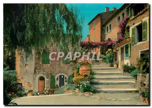 Cartes postales moderne Cote d'Azur Bormes Les Mimosas Lou Pouli Cantoum