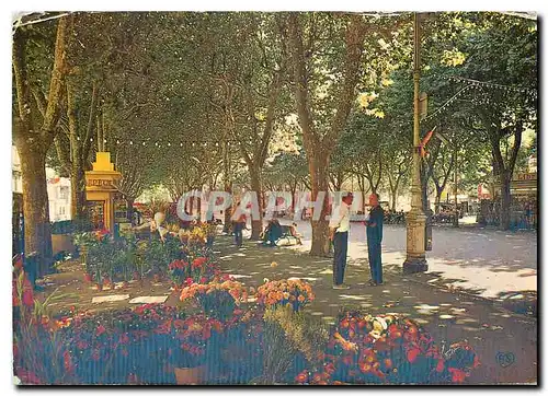 Cartes postales moderne Beziers (Herault) Le Marche aux fleurs allees Paul Riquet