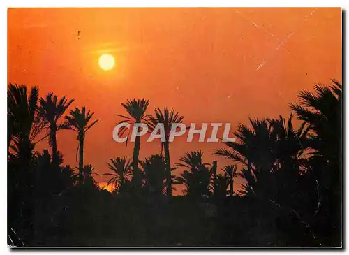 Cartes postales moderne Iles Kerkennah (Tunisie) Coucher de Soleil