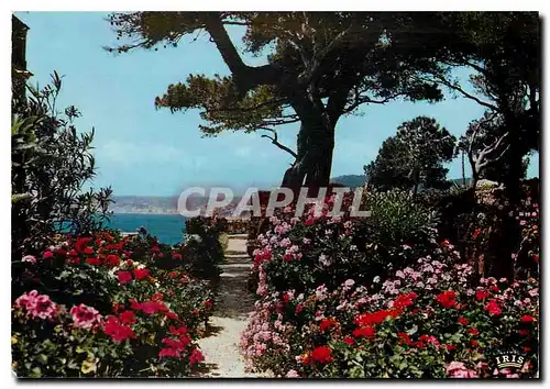 Cartes postales moderne Reflets de la Cote d'Azur jardins fleuris sur les bords de la Mediterranee