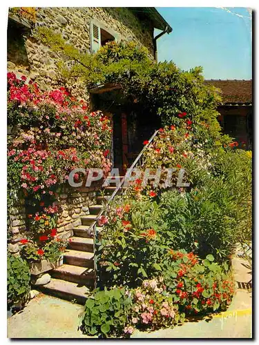 Cartes postales moderne Couleurs et Lummiere de France Maison Fleurie