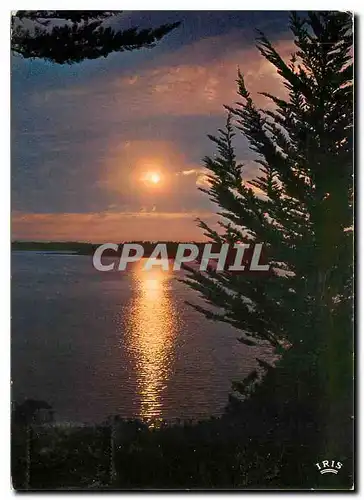 Cartes postales moderne Reflets