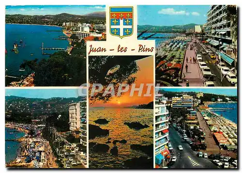 Cartes postales moderne La Cote d'Azur Juan les Pins vue generale la Promenade du Soleil Avenue Guillaumant coucher de s