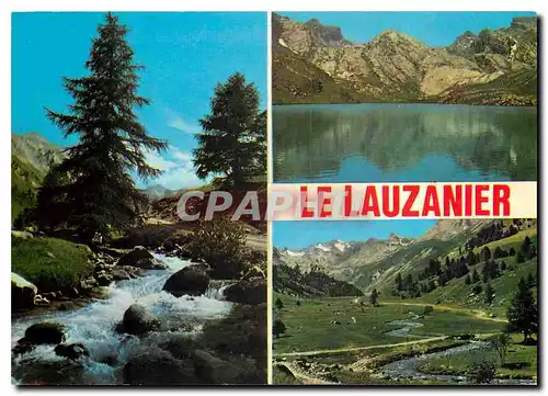 Cartes postales moderne Le Vallon d Lauzanier (Reserve naturelle)