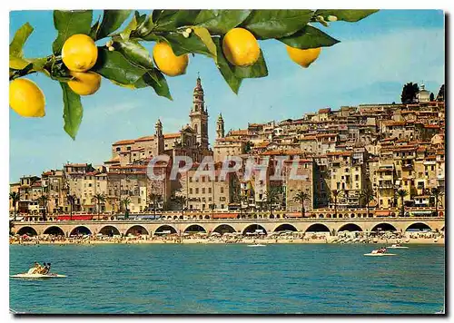 Cartes postales moderne les sites Merveilleux de la cote d'Azur Menton (A M) Vue pittoresque sur le vieux Menton