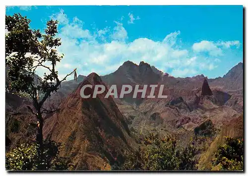 Cartes postales moderne Ile de la Reunion les hauts de l'ile