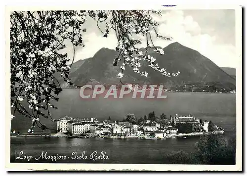 Cartes postales moderne Lago Maggiore Isola Bella