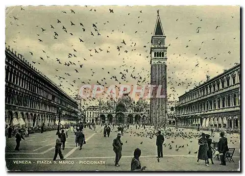 Cartes postales moderne Venezia Piazza S Marco Piccionata