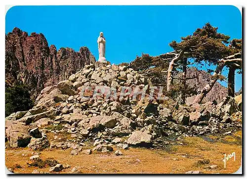 Cartes postales moderne Couleurs et Lumiere de France La Corse Oasis de Beaute Col de Bavella au sommet du Col