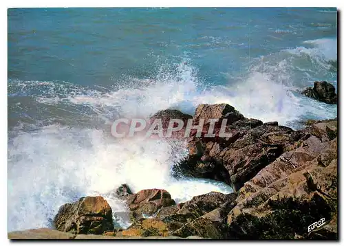 Cartes postales moderne Cote Atlantique Coup de Vent sur les rochers