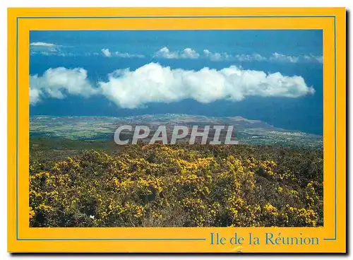 Cartes postales moderne Ile de la Reunion