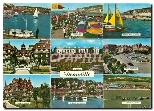 Cartes postales moderne Deauville Plage Fleurie Champ de course Chevaux Place de Morny