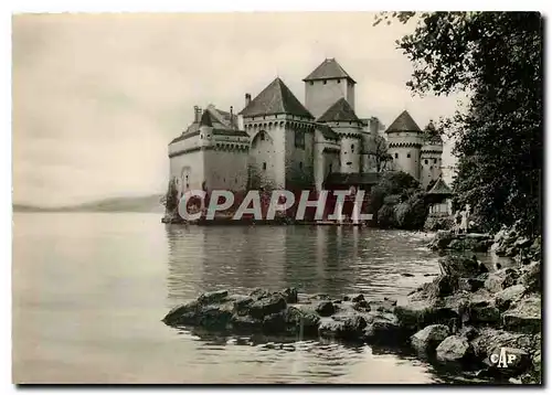 Moderne Karte Lac Leman Chateau de Chillon