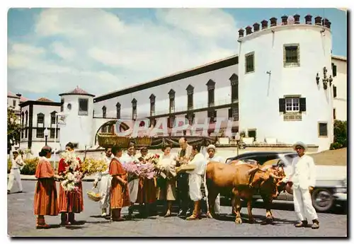 Cartes postales moderne Carro de Bois Funchal Madeira Folklore B�ufs