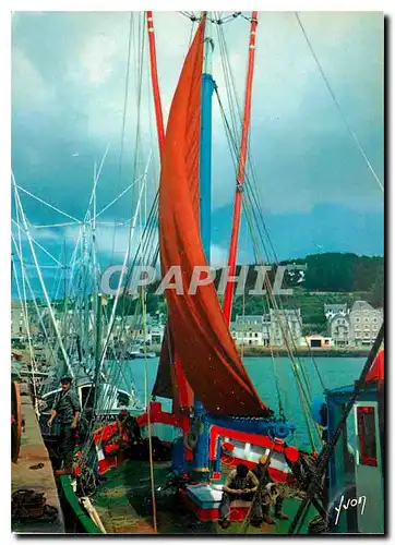 Cartes postales moderne Couleurs et Lumiere de France La Bretagne Audierne (Finistere) Le Port de peche Bateaux de peche