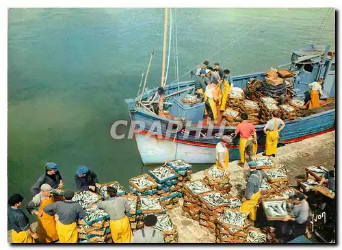 Cartes postales moderne Couleurs et Lumiere de France Debarquement du poisson dans un port Breton Bateau de peche