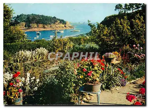 Moderne Karte Couleurs et Lumiere de France Brehat (Cotes du Nord) Ile des fleurs et des rochers roses Parlerr