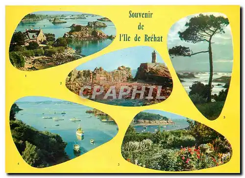 Cartes postales moderne Souvenir de l'Ile de Brehat