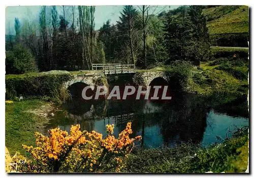 Cartes postales moderne La Bretagne en Couleur Vieux Pont sur la riviere bretagne