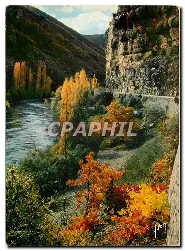 Cartes postales moderne Couleurs et Lumiere de France Gorges du Tarn (Lozere) La route en corniche sur les bords du Tarn
