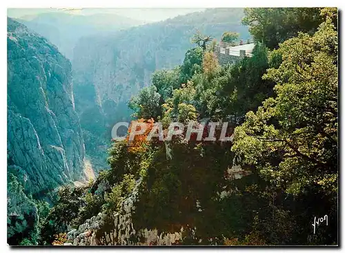 Cartes postales moderne Couleurs et Lumiere de France Grand Canon du Verdon (Var) Corniche sublime Falaise du Baucher