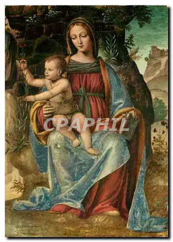 Cartes postales moderne Certosa di Pavia La Vierge avec l'Enfante Jesu (B Luini)