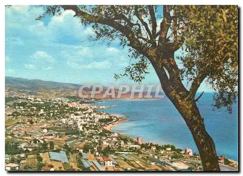 Cartes postales moderne Sanremo Panorama de Coldirodi