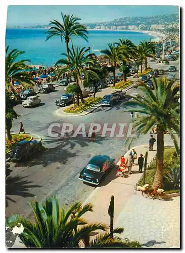 Cartes postales moderne Couleurs et Lumliere de France La Cote d'Azu Miracle de la nature Nice (Alpes Maritimes) Promena