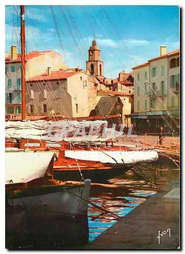 Cartes postales moderne Couleurs et Lumliere de France La Cote d'Azu Miracle de la nature Saint Tropez (Var) Quai Suffre