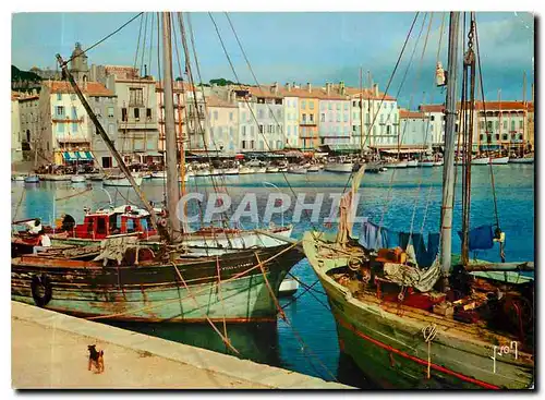 Moderne Karte Couleurs et Lumliere de France La Cote d'Azu Miracle de la nature Saint Tropez (Var) Les Quais B