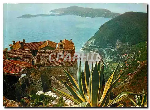 Cartes postales moderne Couleurs et Lumliere de France La Cote d'Azur Miracle de la Nature Eze (A Mmes) Du jardin Exotiq