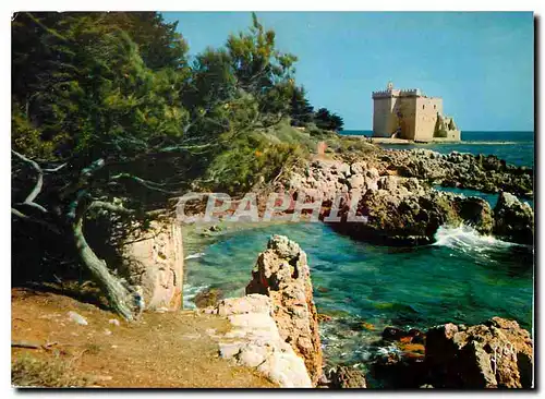 Moderne Karte Couleurs et Lumliere de France La Cote d'Azur Miracle de la Nature Ile Saint Honorat (A M) Le Mo