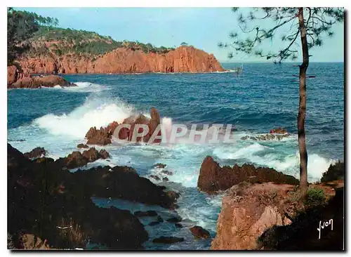 Cartes postales moderne Couleurs et Lumliere de France La Cote d'Azur Miracle de la Nature Cote de l'Esterel (Var)