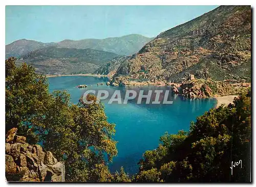 Cartes postales moderne Couleurs et Lumliere de France La Corse oasis de Beaute