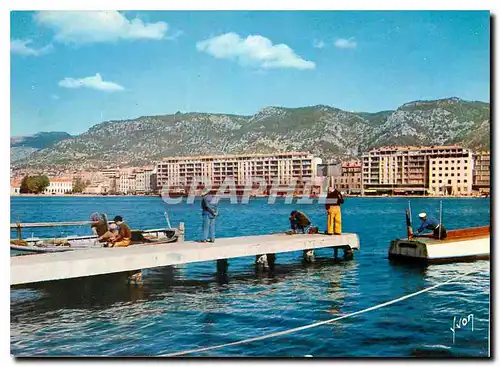 Cartes postales moderne Couleurs et Lumliere de France Toulon (Var) La Vieille Darse et les Collines du Faron