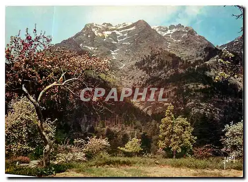 Moderne Karte Couleurs et Lumliere de France La Corse oasis de Beaute Vizdzzavona la Monte d'Ore (2391 m)