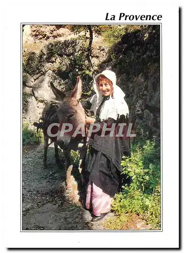 Cartes postales moderne La Provence Folklore Ane Mule