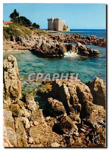 Cartes postales moderne Couleurs et Lumiere de France La Cote d'Azur miracle de la nature Ile Saint Honorat (A M) Le Mon