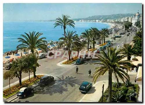 Cartes postales moderne Couleurs et Lumiere de France La Cote d'Azur miracle de la nature Nice (A M) Promenade des Angla