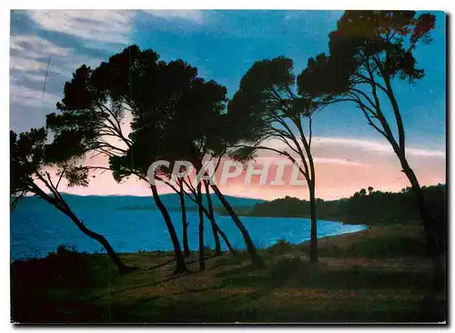 Cartes postales moderne Soleil couchant sur la Mediterranee