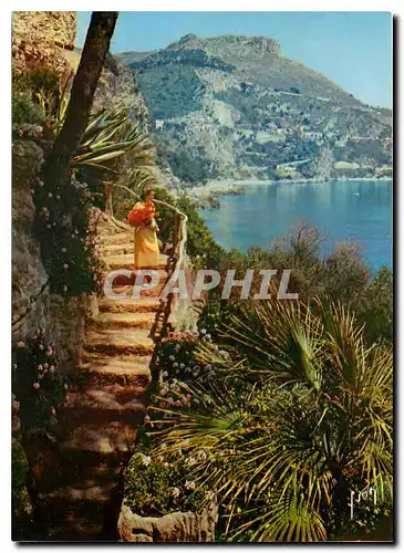 Cartes postales moderne Couleurs et Lumiere de France La Cote d'Azur miracle de la nature Le Cap d'Ail et la tete de Chi