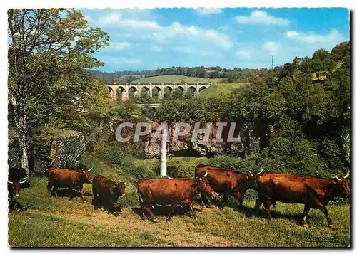 Moderne Karte Cantal Pittoresque Cascade de sables (haut 30 m)