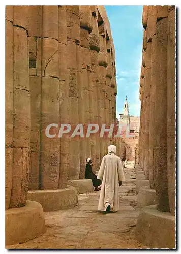 Cartes postales moderne High Columns in Luxor Temple
